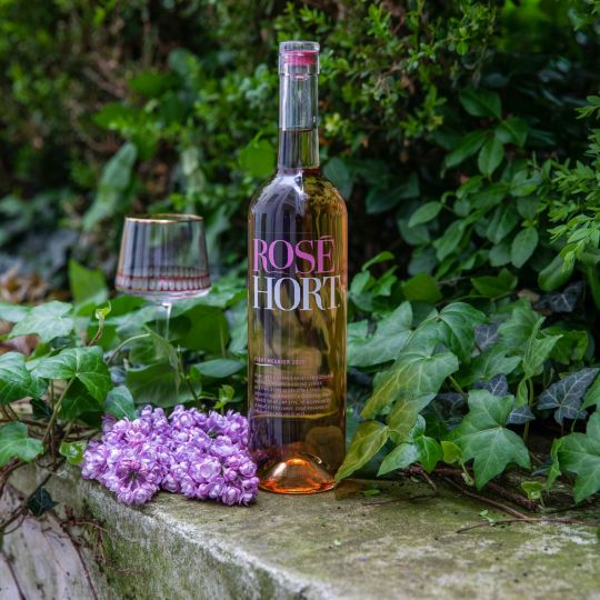 Hort Pinot Meunier zemské klaret 2020