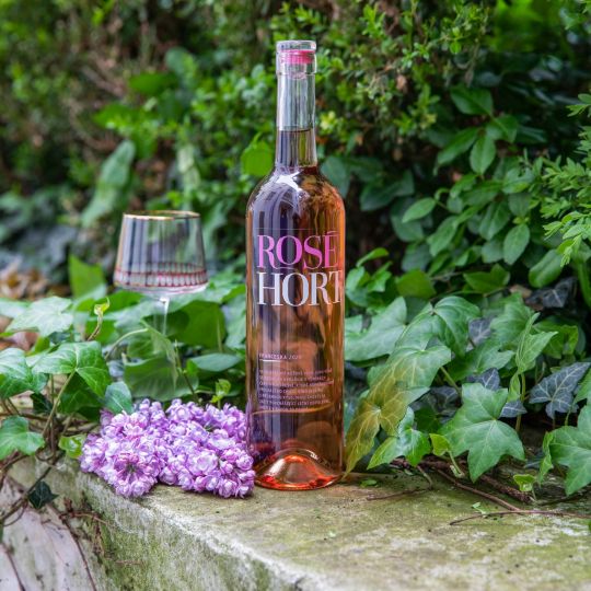 Hort Franceska jakostní víno známkové rosé 2020