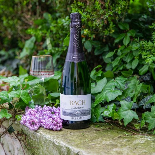 Cava Bach Extrísimo Brut Nature