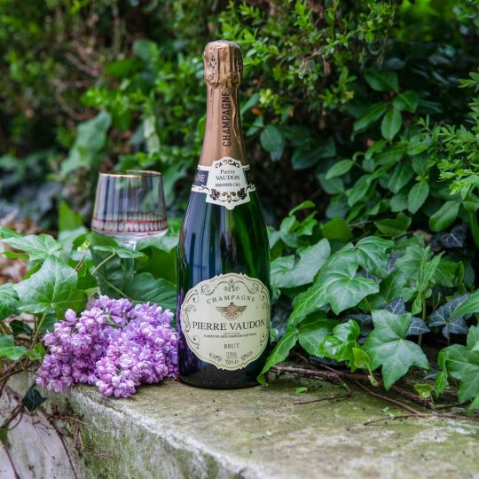 Champagne Pierre Vaudon Brut Premier Cru 