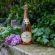 Champagne Pierre Vaudon Rosé Brut