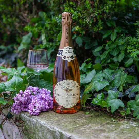 Champagne Pierre Vaudon Rosé Brut