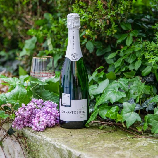 Diamant de Loire Cuvée Rêgent Brut AOC