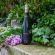 Cava Cygnus Sador Brut Nature